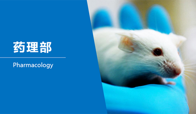 米乐YY易游临床前研究-药理部