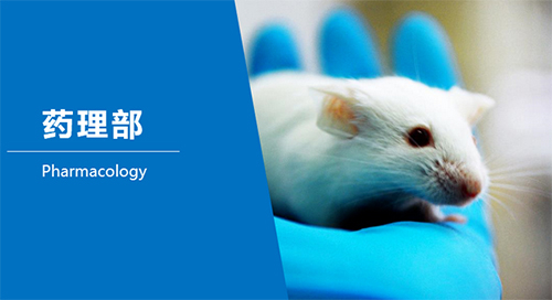 米乐YY易游临床前研究-药理部