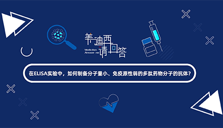 在ELISA实验，，，，，，，，怎样制备分子量小、免疫原性弱的多肽药物分子的抗体？？？？？？