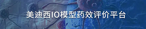 米乐YY易游IO模子药效评价平台.jpg