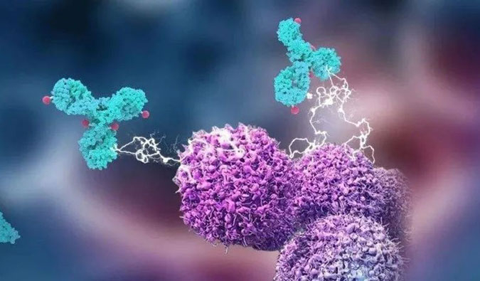 米乐YY易游助力国产靶向叶酸受体FRα ADC注射用BAT8006获批临床