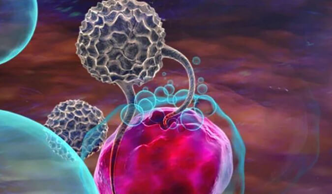 米乐YY易游助力英百瑞CAR-raNK细胞疗法获批临床