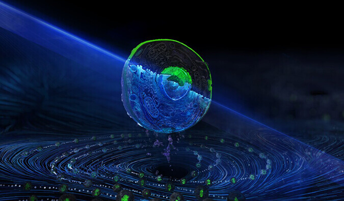 米乐YY易游流式细胞分选服务平台