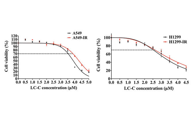 放射疗法用作肺癌的主要治疗要领，，，，，，，本研究中建设抗电离辐射肺癌细胞系的放射治疗通过米乐YY易游举行