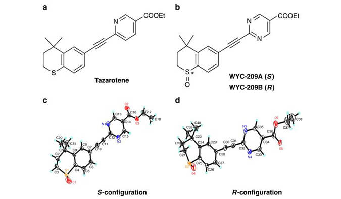 WYC-209可抑制恶性小鼠玄色素瘤肿瘤再生细胞增殖，，，，，，，本研究中SPR通过米乐YY易游使用Biacore 8K举行