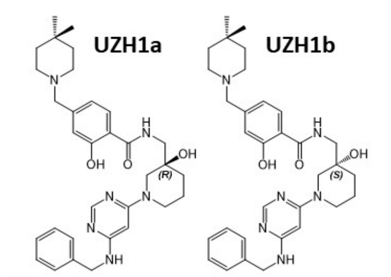 研究职员报告了一种具有细胞渗透性的选择性METTL3纳摩尔抑制剂UZH1a，，，，，作者谢谢米乐YY易游合成了UZH1a和UZH1b