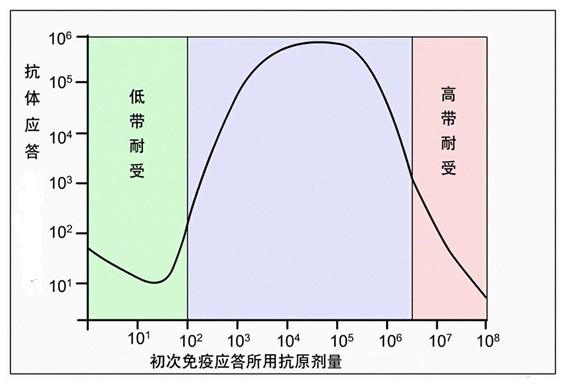 Figure-2-免疫应答爆发抗体依赖于首次免疫应答所用抗原剂量.jpg