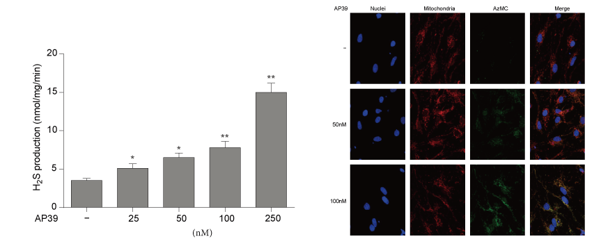 AP39是一种新合成的线粒体靶向的H2S供体，，，，，本研究中AP39通过米乐YY易游设计和合成