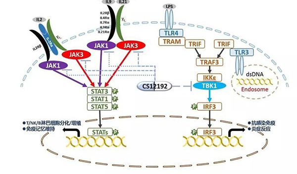 自身免疫疾病或迎新疗法！米乐YY易游助力微芯生物CS12192获批FDA.jpg