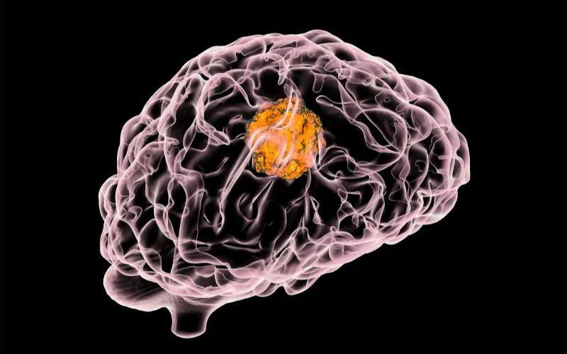 米乐YY易游助力 | 璧辰医药ABM-1310获美国FDA孤儿药资格认证，，，，，，，，用于治疗携带BRAF V600突变的脑胶质母细胞瘤患者