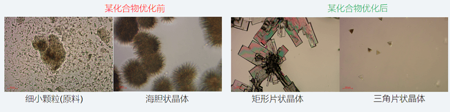 05案例分享-单晶作育，，，，，，，改变晶习.png
