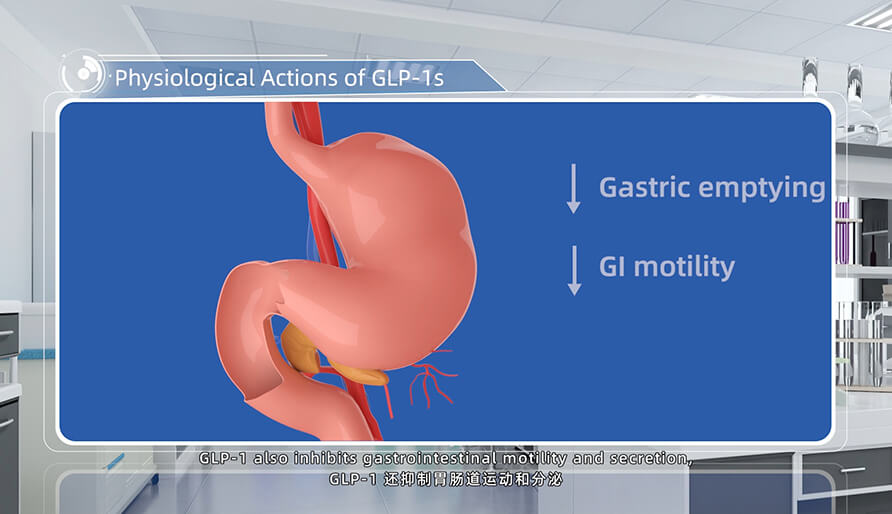 GLP-1s 的心理作用