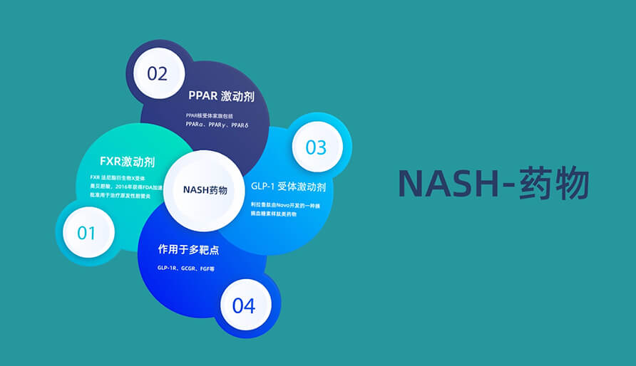 针对NASH非酒精性脂肪肝病有哪些差别的新药类型(HD).jpg