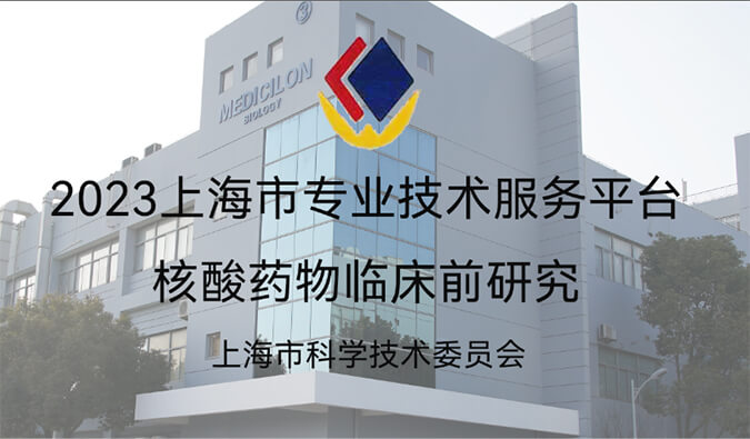 全市1/29！米乐YY易游入选“2023年度上海市专业手艺服务平台”