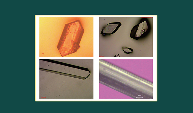 美研| CMC系列(十二)：单晶结构剖析在药物开发中的应用和单晶作育哪些事儿