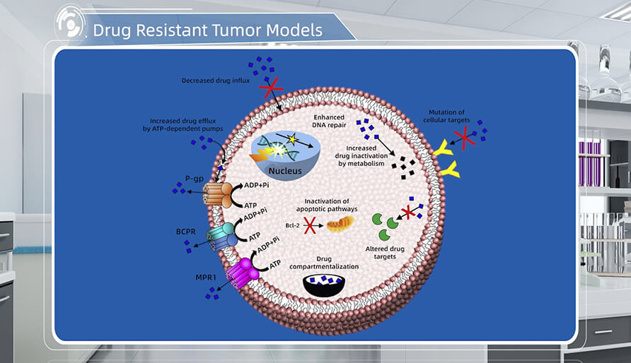 肿瘤耐药机制是什么？？？？？？？