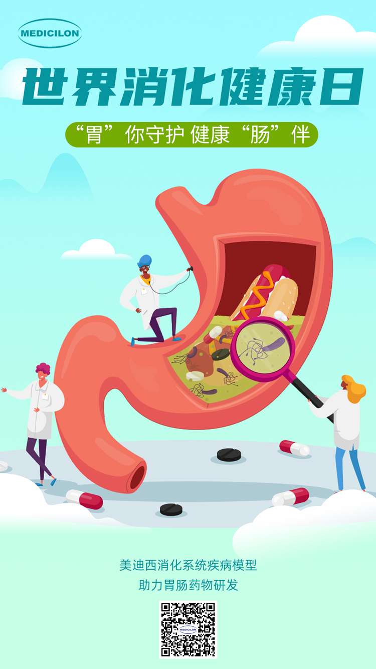 米乐YY易游消化系统疾病模子助力胃肠药物研发.jpg