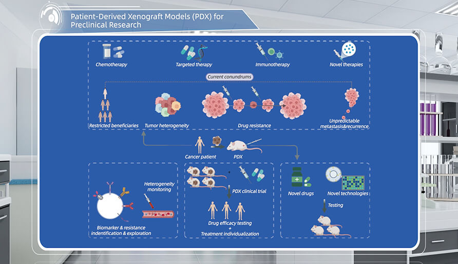 什么是临床前研究的PDX（人源肿瘤异种移植）模子？？？？？？？？