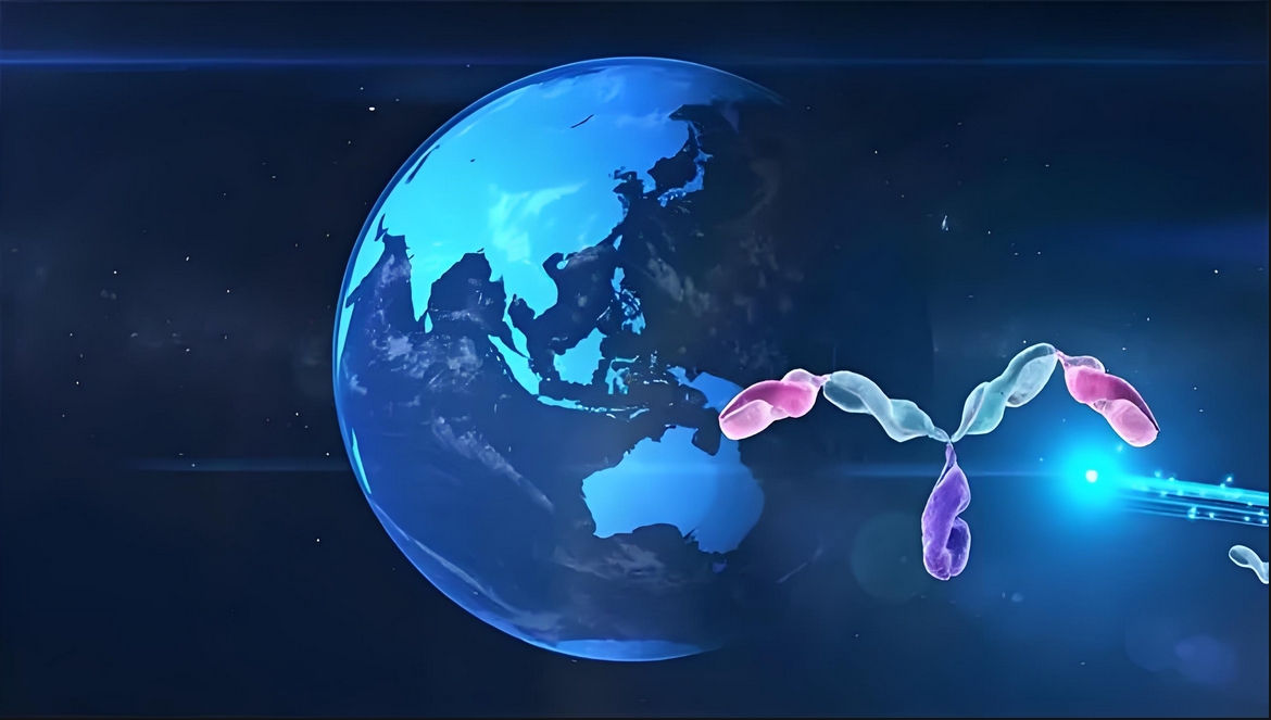 价值屡履历证！米乐YY易游祝贺相助同伴岸迈生物BCMA×CD3双抗EMB-06授权出海