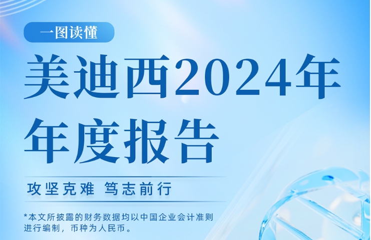 米乐YY易游2024年年度报告