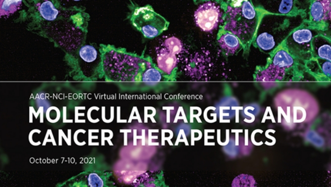 通过团结治疗提高免疫疗法疗效，，，，，本研究中临床前体内药效研究通过米乐YY易游举行