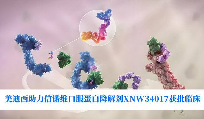 米乐YY易游助力相助同伴信诺维口服卵白降解剂XNW34017获批临床